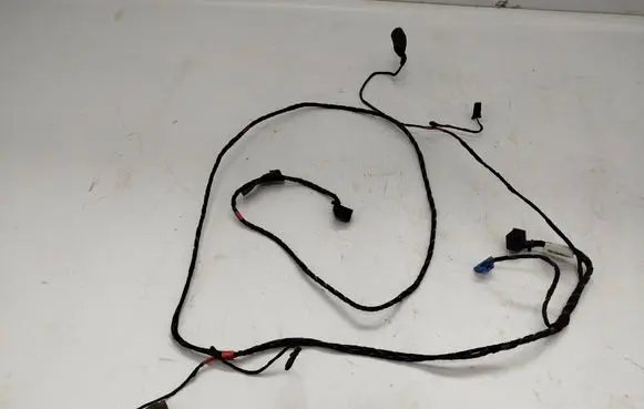 Volkswagen Phaeton Wiring harness 3D0971100AR