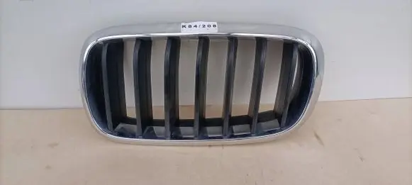 BMW X5 F15 Front bumper upper radiator grill 7316075