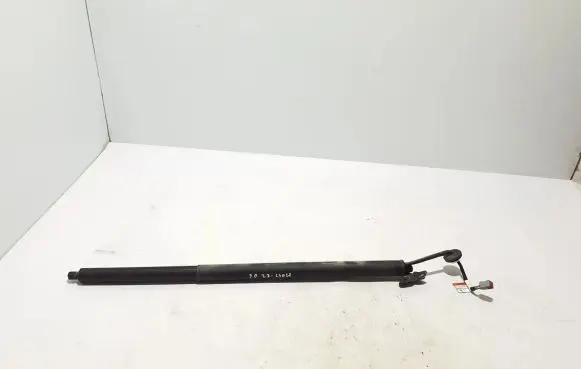 Ford Mach-E I Tailgate strut LJ8BR402A54AD
