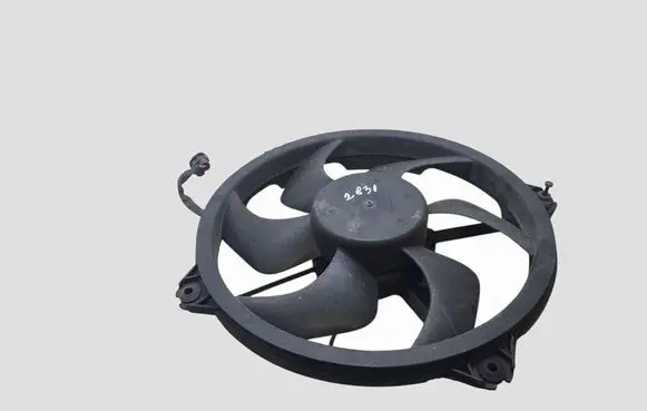Citroen C4 Grand Picasso Electric radiator cooling fan