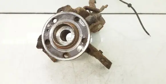 Skoda Roomster (5J) Front wheel hub spindle knuckle 10071152733