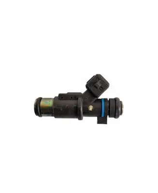 Citroen Berlingo Fuel injector 01F002A