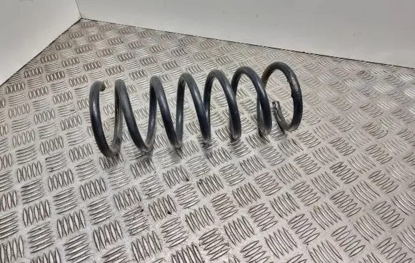 Ford S-MAX Rear coil spring