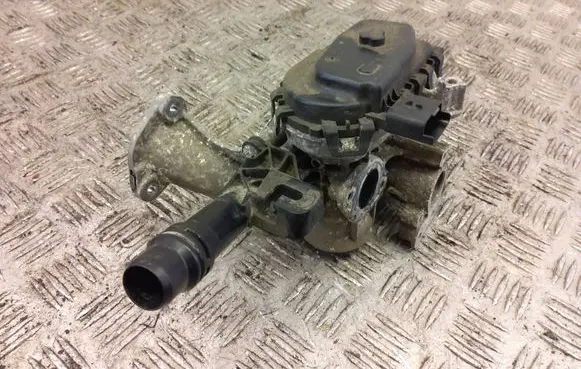 Peugeot Partner EGR valve 9807369980