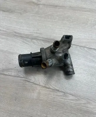 Thermostat/thermostat housing