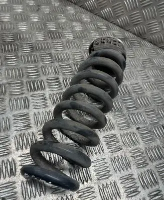 Rear coil spring