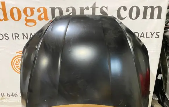Engine bonnet/hood