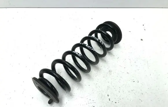 Rear coil spring