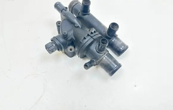 Thermostat/thermostat housing
