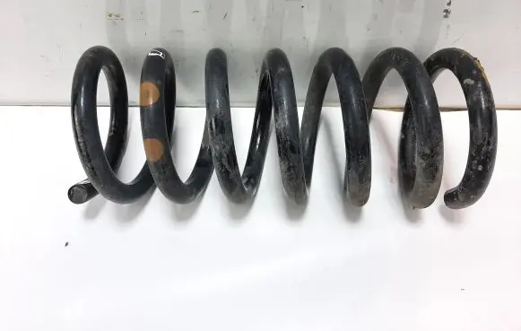Rear coil spring