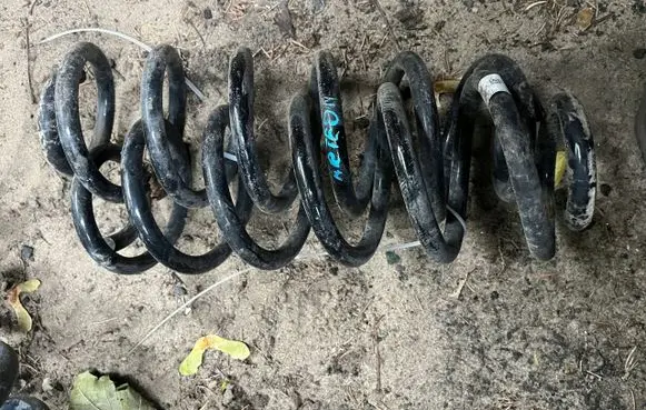 Rear coil spring