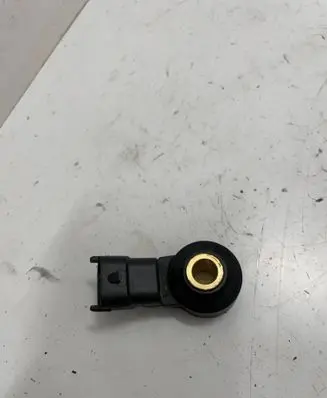 Porsche Panamera (970) Detonation knock sensor 0261231173