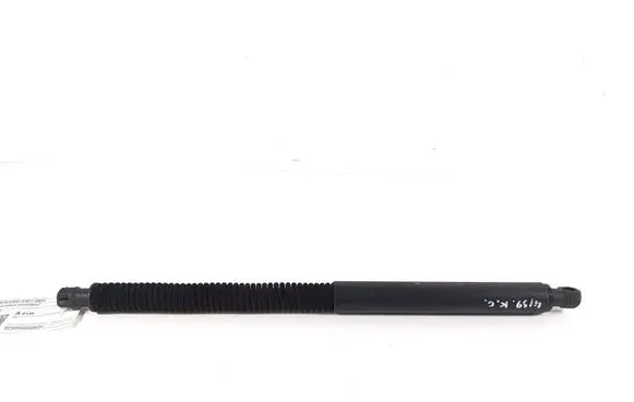 BMW X3 G01 Tailgate strut 7697482