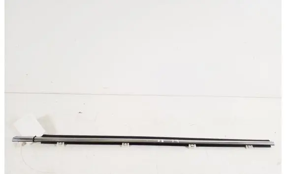 Rear door trim (molding)