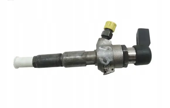 Citroen C3 Fuel injector 9652707180