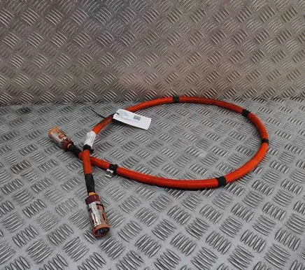 Mercedes-Benz EQE v295 Other wiring loom A2955407106