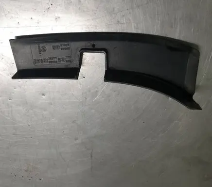 Rear/tail light trim molding