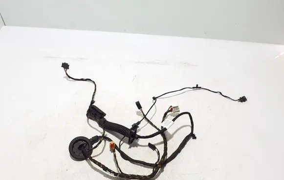 Other wiring loom