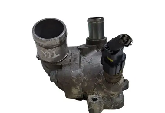 Thermostat/thermostat housing