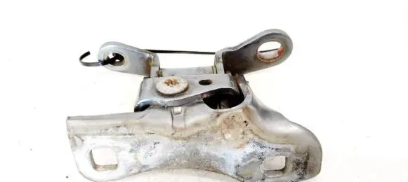 Chrysler 300 - 300C Rear door lower hinge