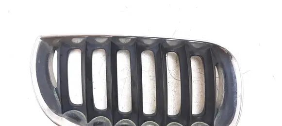 BMW X3 E83 Front grill 03402914