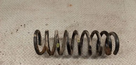 KIA Carens II Rear coil spring 