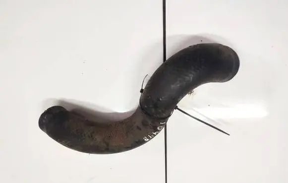 Honda FR-V Engine coolant pipe/hose