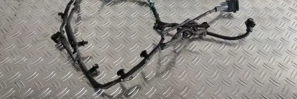 Lexus RC Other wiring loom 8211224170C