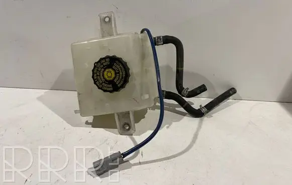 Lexus CT 200H Brake fluid reservoir 