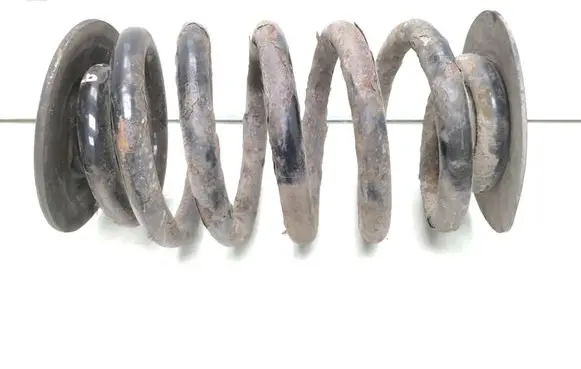 Rear coil spring