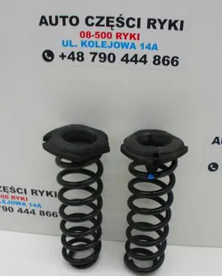 Renault Fluence Rear coil spring