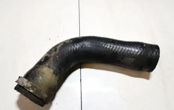 Renault Scenic I Intercooler hose/pipe