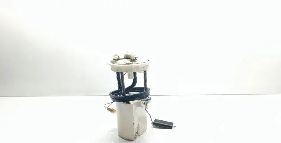 Nissan Qashqai+2 Fuel level sensor 