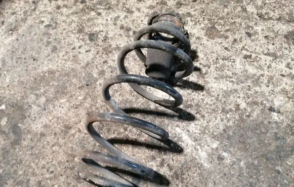 Rear coil spring