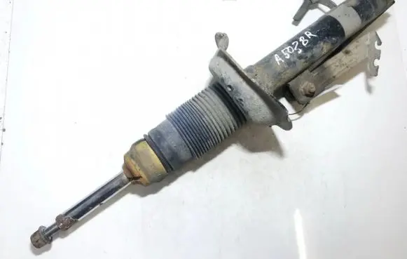 Ford Focus Front shock absorber/damper