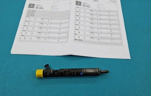 Renault Megane II Fuel injector EJBR01801Z IMPRK1439407