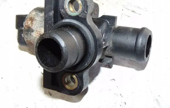 Thermostat/thermostat housing