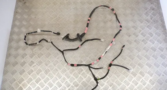 Lexus RX 450H Rear door wiring loom 8215448210