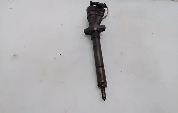 Peugeot 607 Fuel injector 0445110036