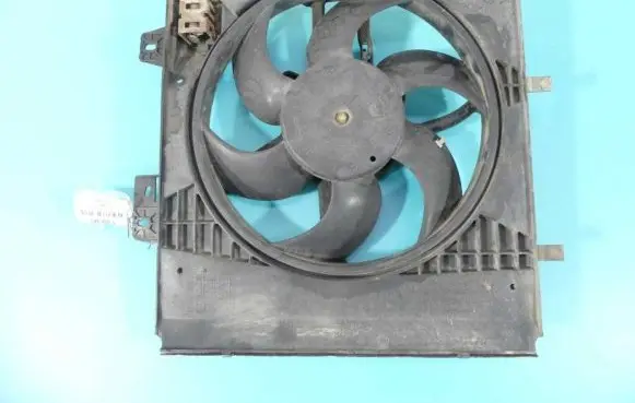 Peugeot 207 Fan set 8240503FR IMPRK1352341