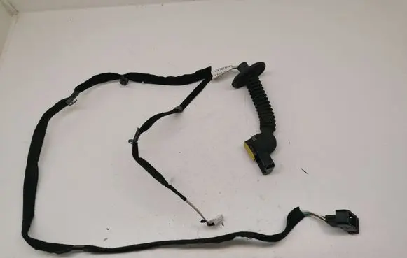 Front door wiring loom