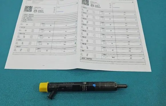 Renault Clio III Fuel injector EJBR05102D IMPRK1543596