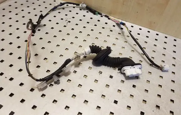 Rear door wiring loom