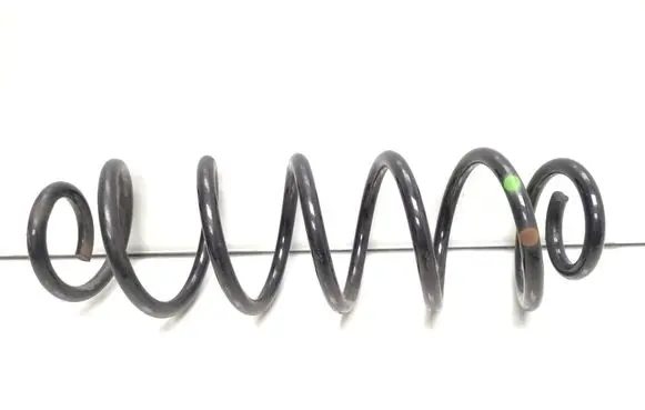 Rear coil spring