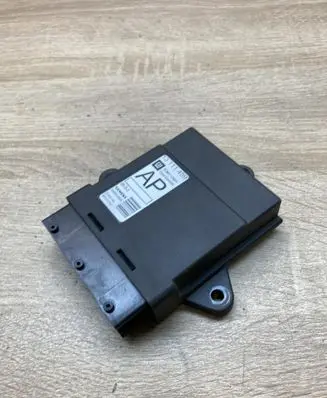 Opel Signum Door control unit/module 13111459