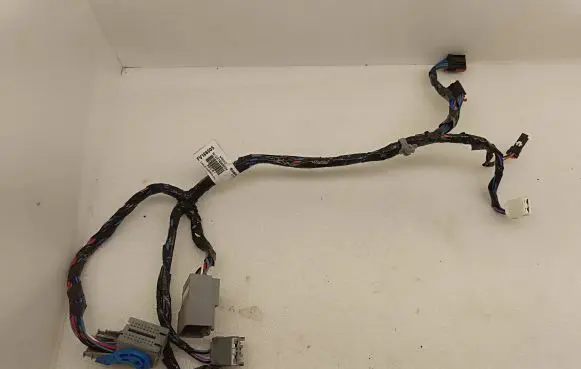 Chrysler Pacifica Other wiring loom FV166005