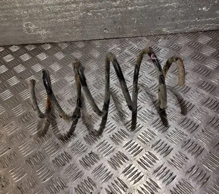 Volkswagen Jetta V Front coil spring