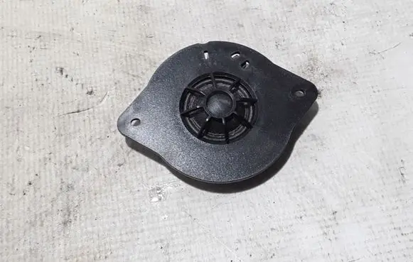 Front door high frequency speaker
