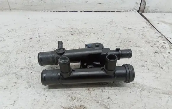 Thermostat/thermostat housing