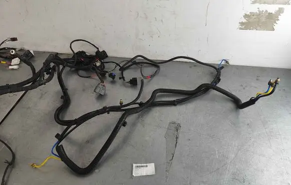 Tesla Model S Other wiring loom 304613292A